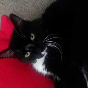 Meet your Posher, Christine